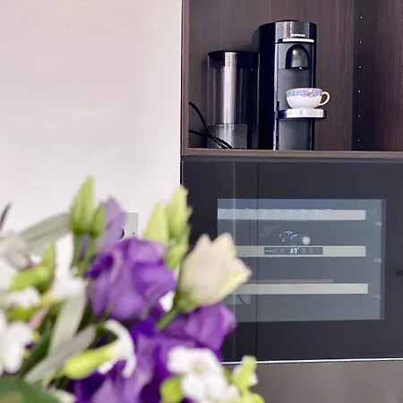 Appartement Grand 2 Pieces Gray D'albion Cannes