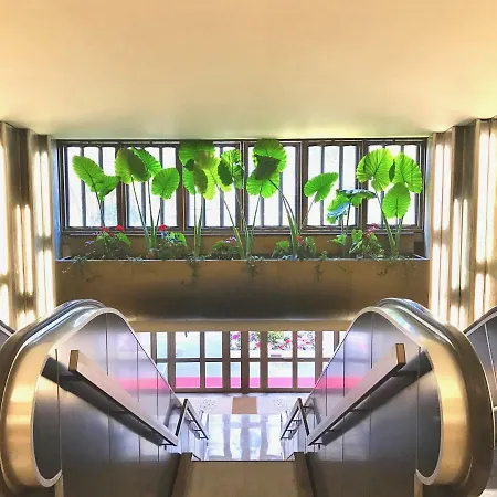 Appartement Grand 2 Pieces Gray D'albion Cannes