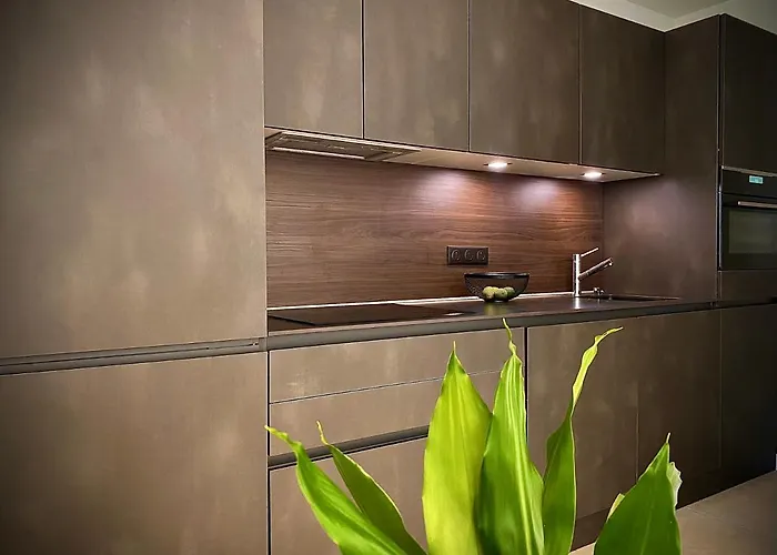Grand 2 Pieces Gray D'albion Appartement